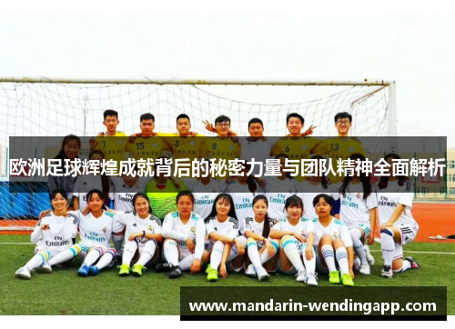 欧洲足球辉煌成就背后的秘密力量与团队精神全面解析