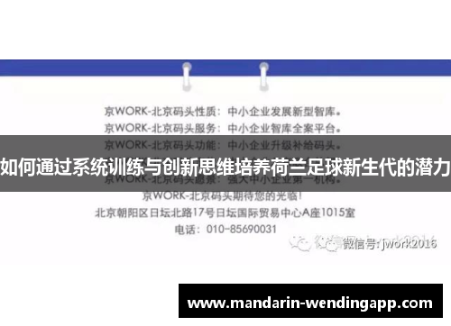 如何通过系统训练与创新思维培养荷兰足球新生代的潜力
