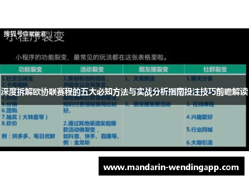 深度拆解欧协联赛程的五大必知方法与实战分析指南投注技巧前瞻解读