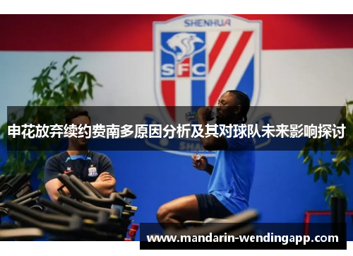 申花放弃续约费南多原因分析及其对球队未来影响探讨 申花放弃续约费南多原因分析及其对球队未来影响探讨